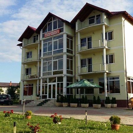 Pensiunea Casa Popan Sighetu Marmatiei Luaran gambar