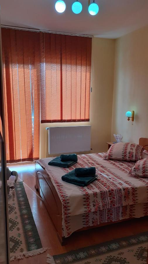Pensiunea Casa Popan Sighetu Marmatiei Luaran gambar