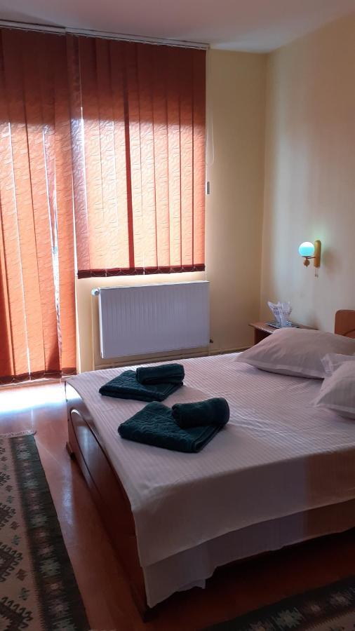Pensiunea Casa Popan Sighetu Marmatiei Luaran gambar