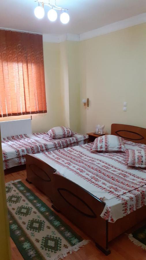 Pensiunea Casa Popan Sighetu Marmatiei Luaran gambar