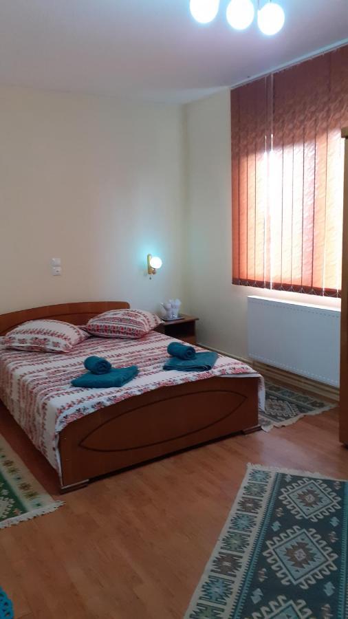 Pensiunea Casa Popan Sighetu Marmatiei Luaran gambar